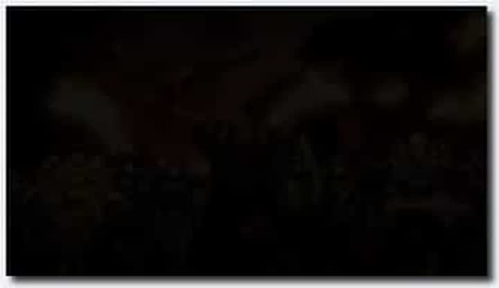 18禁アニメ ピンクパイナップル ランス01 光をもとめて THE ANIMATION 第2話「進行！！ リーザス中樞」 BD 1920x1080 x264 AAC